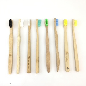 painted bamboo toothbrush 100% biodegradable  bamboo toothbrush case