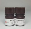 Recombinant Human Epidermal Growth Factor (EGF)