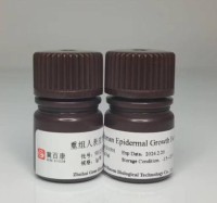 Recombinant Human Epidermal Growth Factor (EGF)