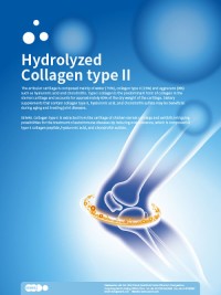 Hydrolyzed Collagen Type II﻿