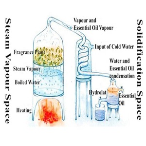 Buy 100% Pure Natural Jasmine Hydrosol for Skin Care with High Quality