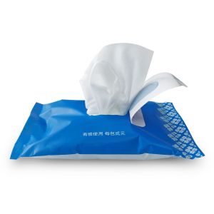 Free samples Hot Sale Moistened  adult wet wipes from China