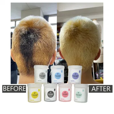 Hair Bleaching Powder 7 Colors for Salon Use 500g OEM Free Samples