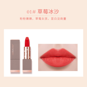 Hot Sale Factory Wholesales Multicolor Long-lasting Moisturizing Customized Logo High Quality Vagan Halal Organic Matte Lipstick