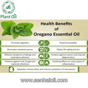 Natural elements fragrant essential oils oregano oil single spice for perfume