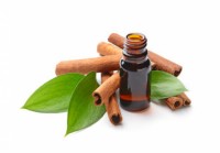 Cinnamon bark essential oil