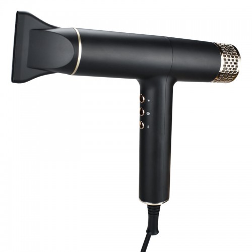 BLDC 110000 RPM Quick and Low Temperature Hair Dryer