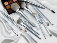 Diana 14pcs Brush Set