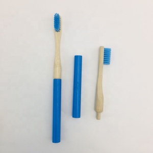 Biodegradable replaceable head bamboo adult toothbrush