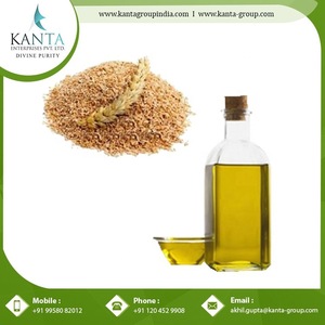 Factory Price Wheat Germ Carrier Oil