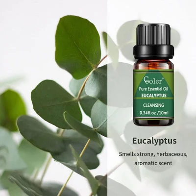 Factory Supply Top Quality Eucalyptus Essential Oil