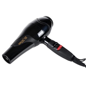 Factory wholesale professional AC Motor Fashional household hair dryer with cool shot function