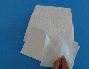 Hefei Telijie Sanitary paper towel wholesale manufacturer