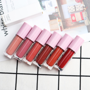 OEM/ODM Private Label Long Lasting Matte Lip gloss Makeup Cosmetics Lip Tint Liquid Lipstick Multicolor Lipgloss