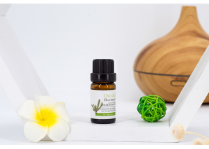 Rosemary Essential Oil 10ml HOT SELLING LOW MOQ