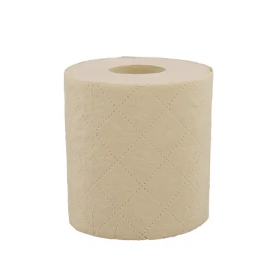 Soft Toilet Roll 100% Imported Wood Pulp Toliet Tissue Paper Bathroom Tissue