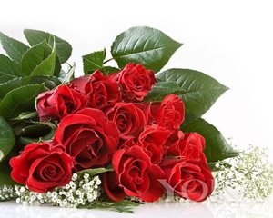 Wholesale Bulgaria Rose Water Bulk Organic Rose Hydrosol For Beauty& Personal Care