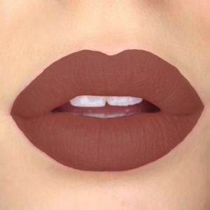 Brown Color Lip Stick Hot Sale More Color Choice Lipstick Waterproof Long Lasting