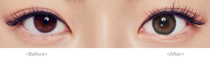 Contact Lens (Spanish Circle 1DAY Gray)