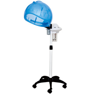Factory Supply professional stand hair steamer with low price