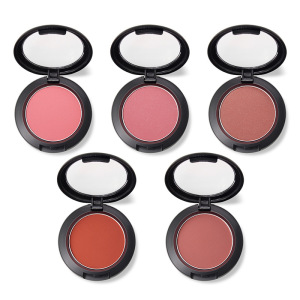 Makeup cosmetics oem compact private label blush palette