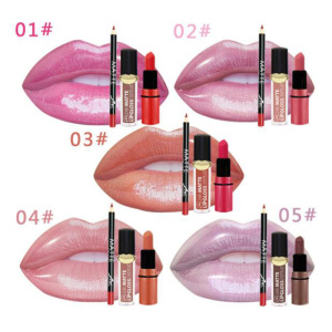 Private label wholesale mouth container long lasting lipgloss waterproof lip liner matte Cosmetics lipstick kit