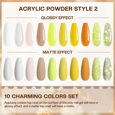 Professional Nail Acrylic Powder Nails Salon 10 Colours Set Wholesale Bulk