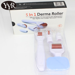 YYR Hot Korean style 5 in 1 micro needle derma roller at walgreens