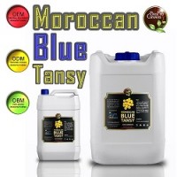 Moroccan blue tansy essential oil company