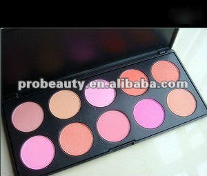 10 Color professional Makeup Powder Cosmetic Blush Powder Blusher Palette, Free Shipping