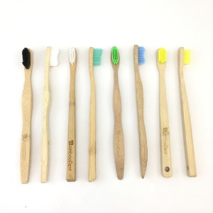 2019 hot selling 100% biodegradable  bamboo toothbrush manufacture OEM