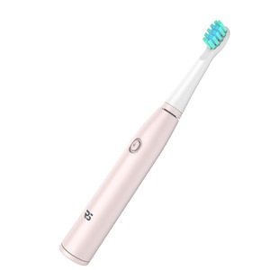 China Electric Toothbrush Mini Sonic Toothbrush for Travel with 2 Toothbrush Heads Oral Hygiene Products
