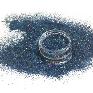 Factory Direct Sales New Arrival Design Popular Color Blue Black Holographic Fine Body Nail Face Glitter