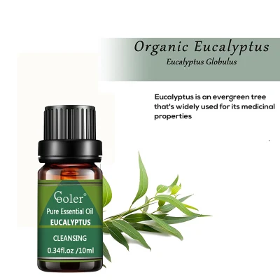 Factory Supply Top Quality Eucalyptus Essential Oil