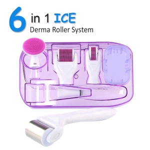 Newest Dermaroller Skin Cooling 6 in 1 Ice roller Derma Roller