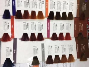 OEM Wholesale Free Sample Private Label nail polish Ice Dye Permanent semi permanent hair color hair color cream hair color
