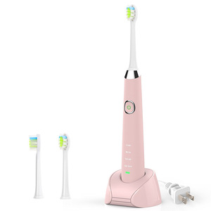 Private label service China shenzhen manufacturer sonic toothbrush H3