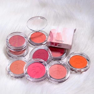 Single Blush Pan Private Label Blush Palette Logo Natural High Pigment Customized BLUSHER Color Box Acceptable 10 Colors 3 Years