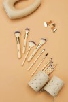 Makeup Brushes