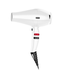 1875W Ionic Hair Dryer with Diffuser, Professional Powerful Fast Dry Blow Dryer with Concentrator Attachments, Adjustable 3 Heat