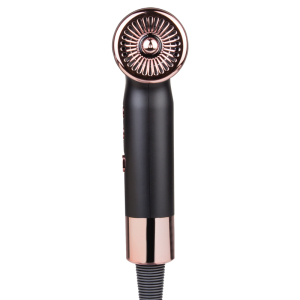 Brushless Motor 2000 hours lifetime professional salon hair air blow dryer lightweight bldc  dryer