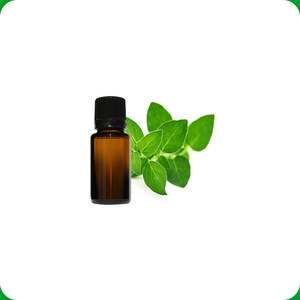 Bulk Supply Oregano Essential Oil