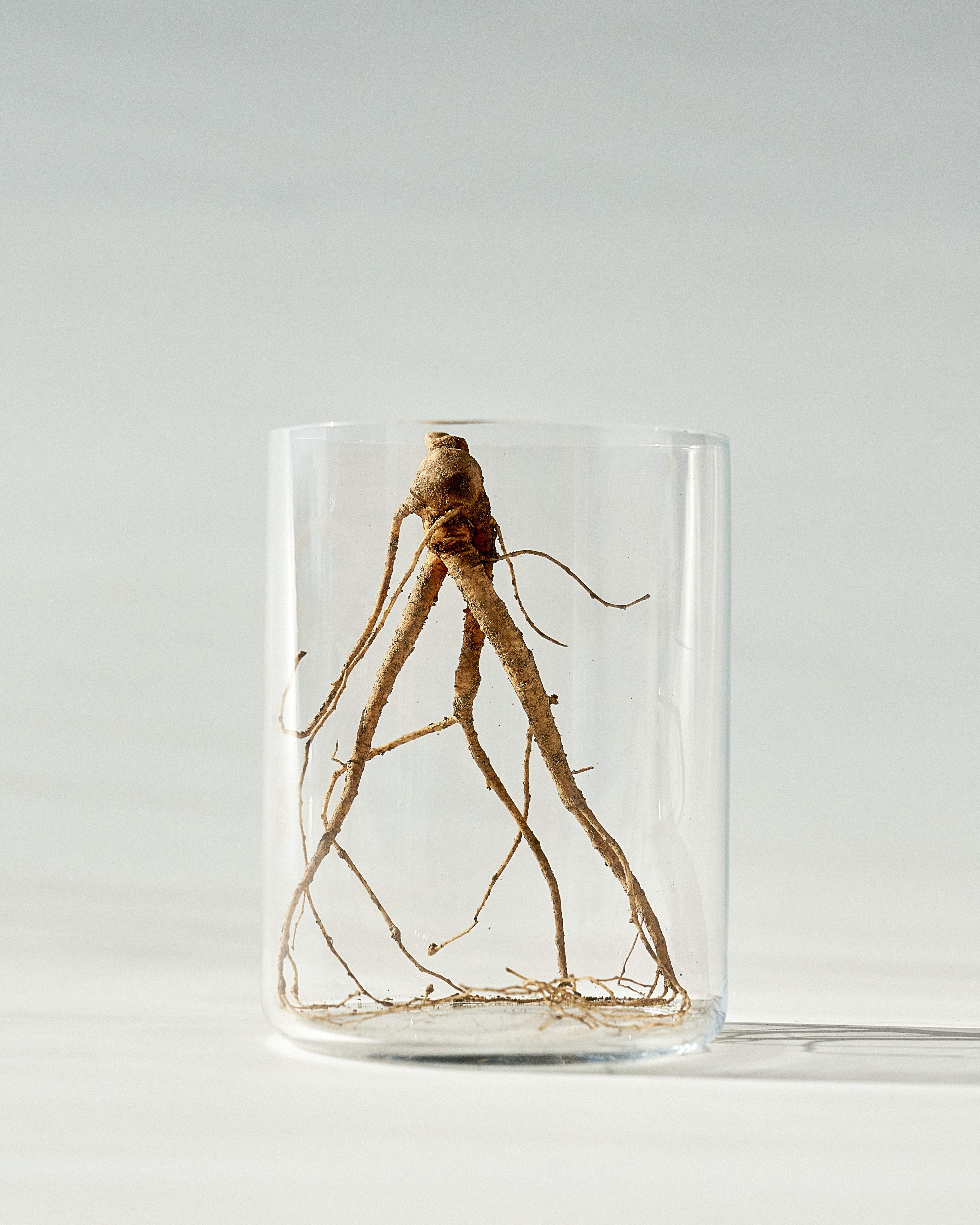 Ginseng Seed Sheet Mask for Skin Regeneration – PDRN, Ginseng Seed Oil &amp; Ginseng Water Formula