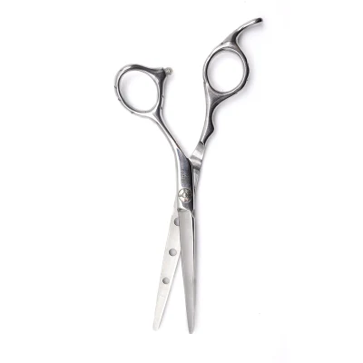 High Quality Hair Salon Hairdressing Scissors Professional Hair Care Tools