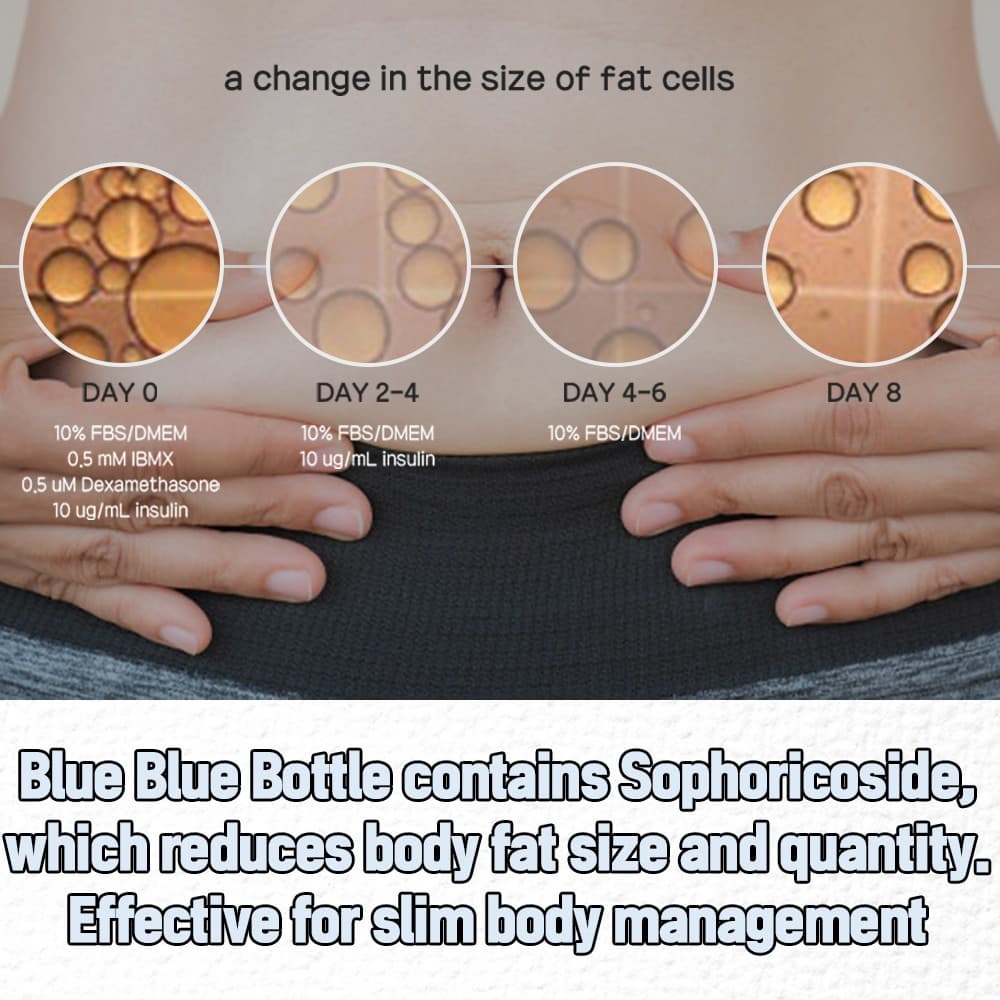 Mymi BlueBlue 600ml