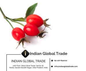 Rose Hip Oil | Rose Hip Carrier Oil from Indian Global Trade for Export