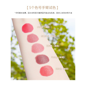 Wholesale Matte Velvet Lipstick Cosmetic Natural Waterproof Long Lasting Lip Stick