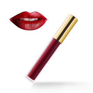 2017hotsale Waterproof velvet LipGloss Longlasting Matte Lip Gloss