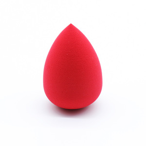 Latex Free Beauty Sponge Blender with Private Label Packaging Custom Logo Beauty Sponge