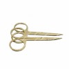 Light gold Nail Scissor Manicure For Nails Eyebrow Nose Eyelash Cuticle Scissors Curved Makeup Tools